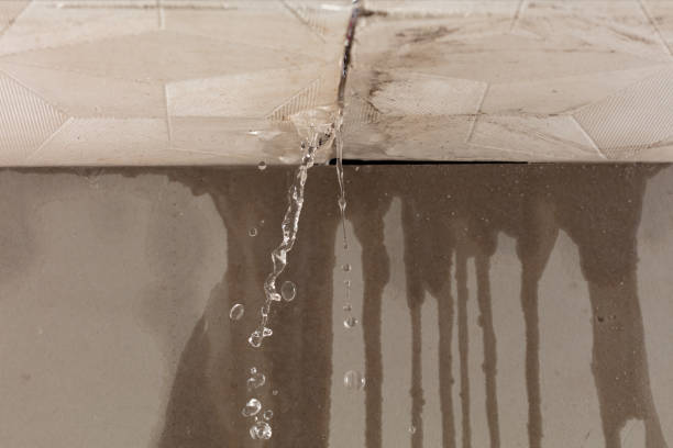 Professional Structural Drying technician working in Roseville, MI